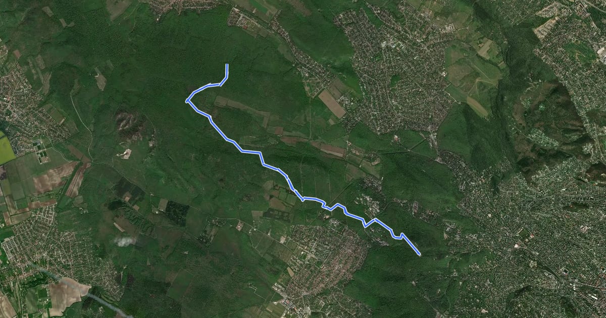 Маршрут S+ (János-hegy, Libegő állomás – Budakeszi Vadaspark – Z+) на спутниковом снимке