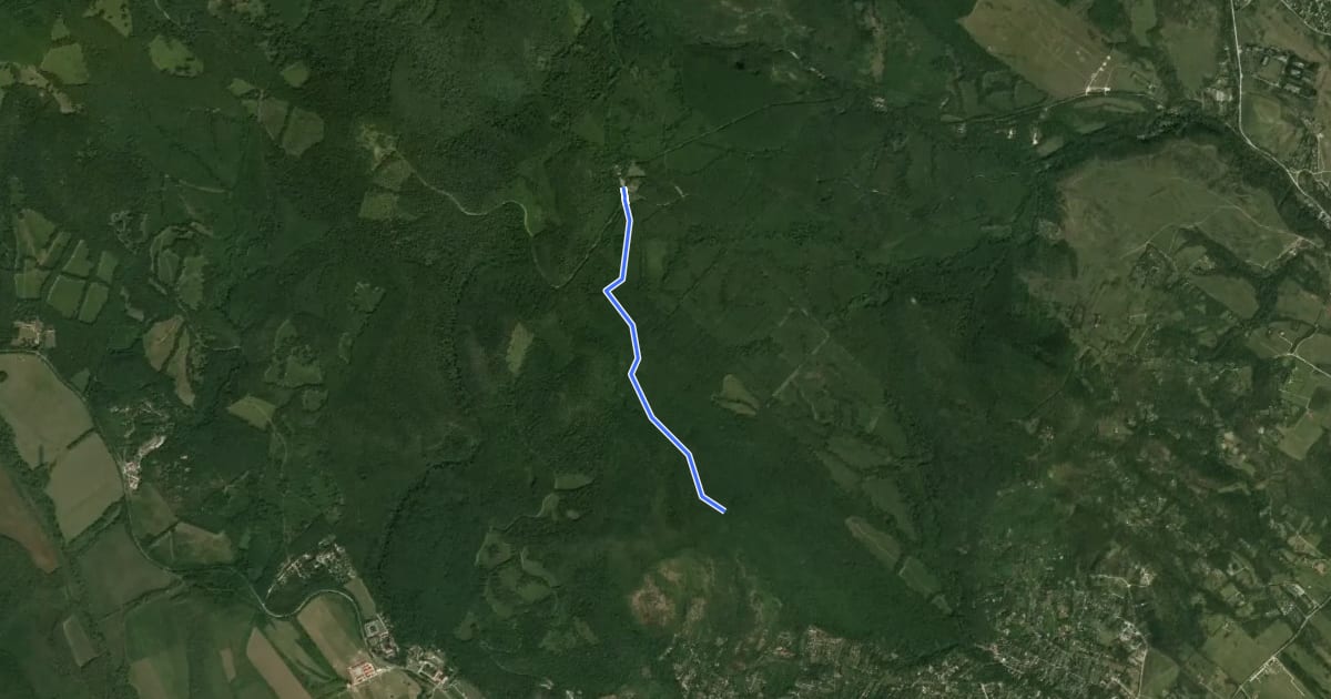 Маршрут S+ (Lajos-forrás, turistaház – Erdész-emlékmű - –anda Vilmos-ház) на спутниковом снимке