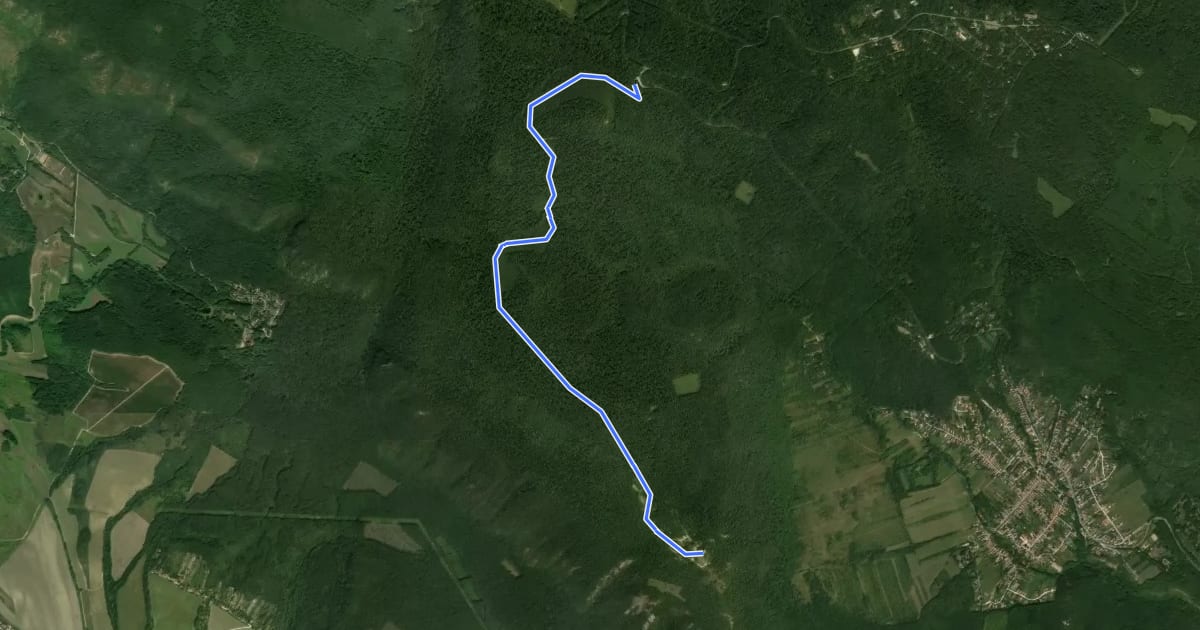 Маршрут sárga mtb (Két-bükkfa-nyereg - Pilis-tető) на спутниковом снимке