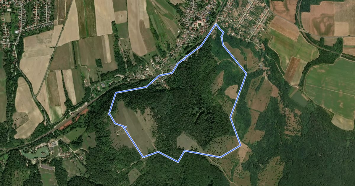 Маршрут S (Városlőd, tábor – Városlőd, tábor) на спутниковом снимке