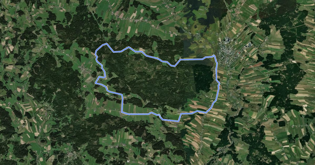 Маршрут S2, Brunnwald Runde на спутниковом снимке