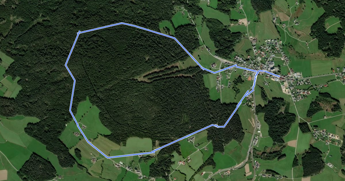 Маршрут S6 Viehberg Rundweg на спутниковом снимке