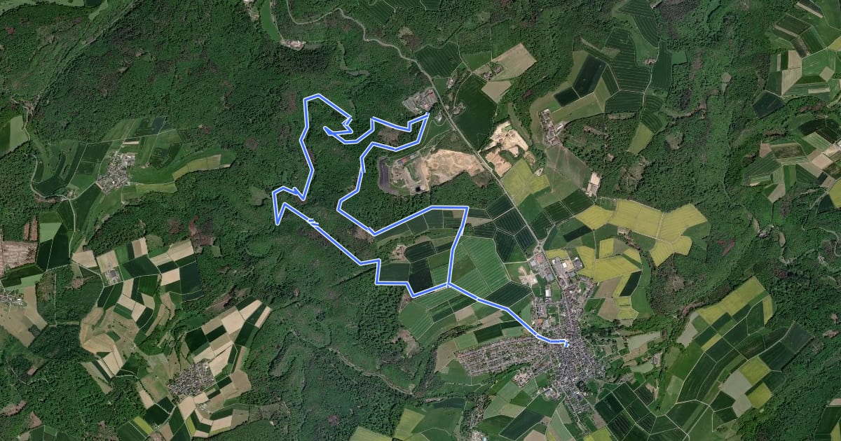 Маршрут S8 Rabenlei - Mühlbachtal - Teufelsdell на спутниковом снимке