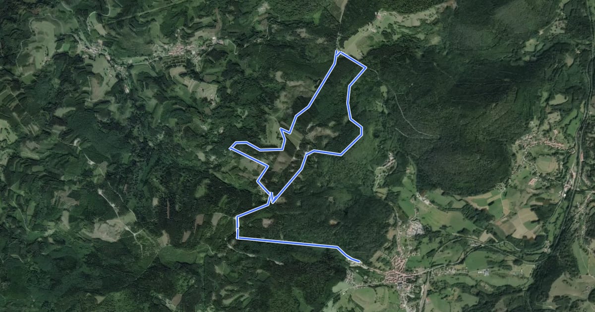 Маршрут Saales en passant par un hameau de Saint-Stail на спутниковом снимке