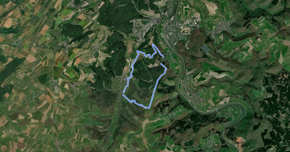 Маршрут Saar-Leuktal-Panorama на спутниковом снимке
