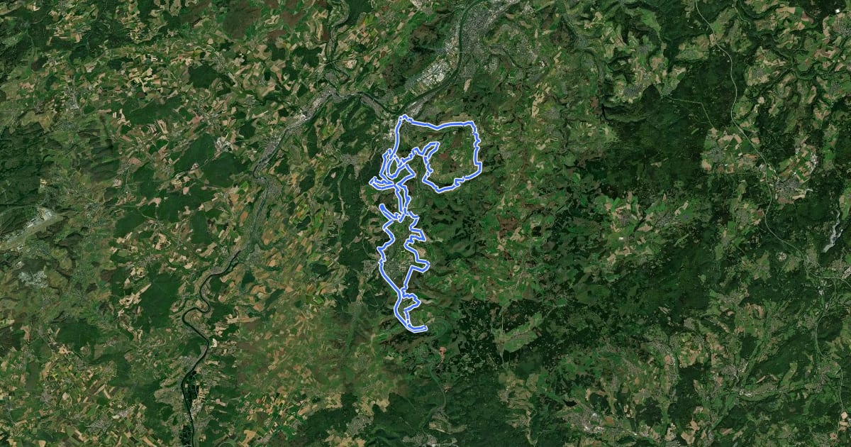 Маршрут Saarweinwanderweg на спутниковом снимке