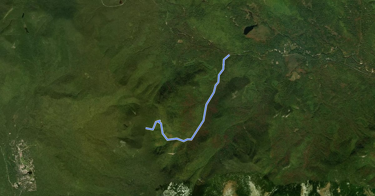 Маршрут Sabbaday Brook Trail на спутниковом снимке