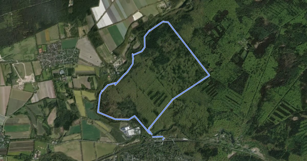 Маршрут Sachsenwald Wanderweg 1: Der Eisvogelweg на спутниковом снимке