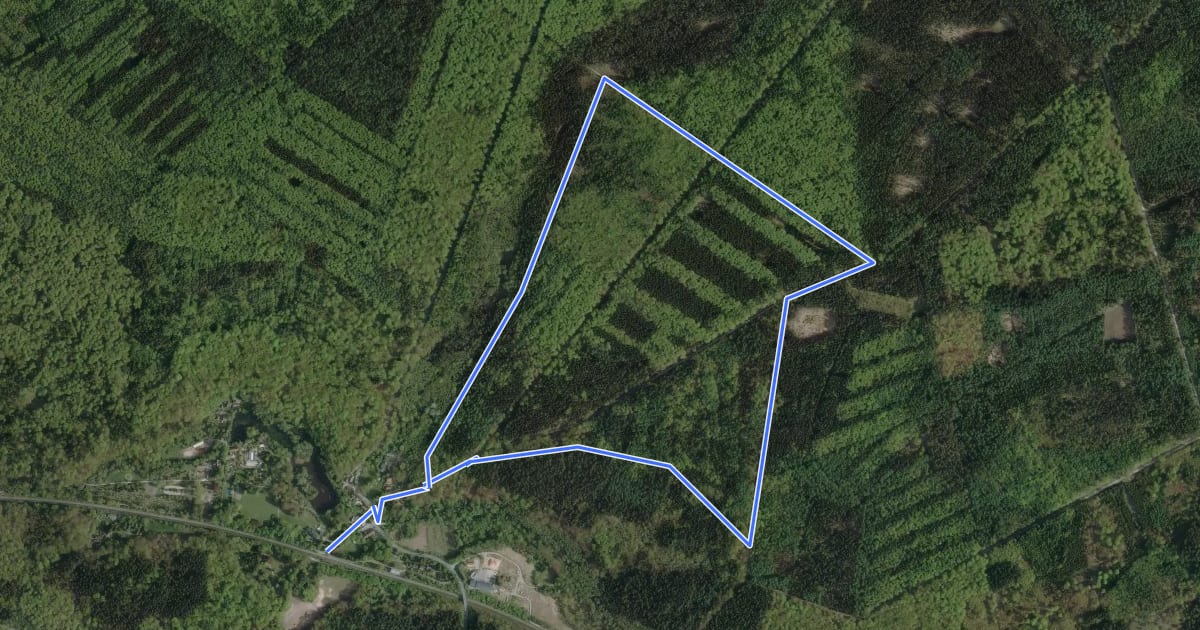 Маршрут Sachsenwald Wanderweg 4: Kupferweg на спутниковом снимке