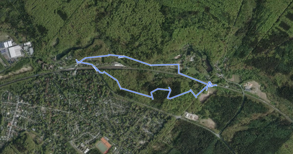 Маршрут Sachsenwald Wanderweg 6: Der Schlangenweg на спутниковом снимке