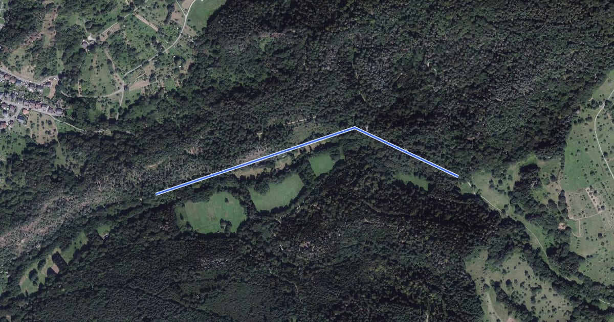 Маршрут Sackpfeife - Mittleres Laufbachtal на спутниковом снимке