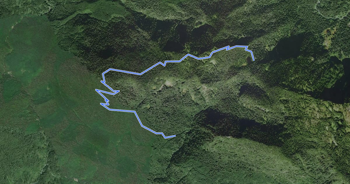 Маршрут Saddle Creek Trail на спутниковом снимке
