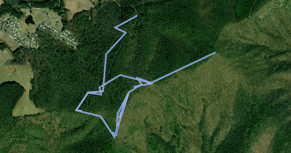 Маршрут Saddle Mountain Trail на спутниковом снимке