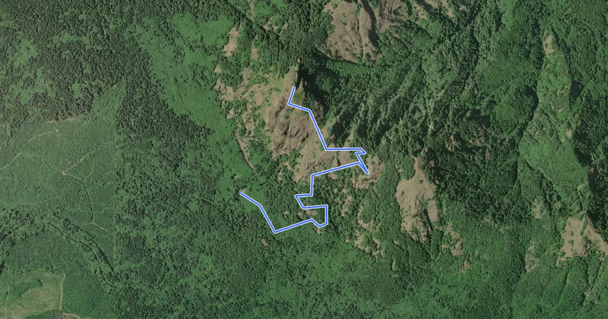 Маршрут Saddle Mountain Trail на спутниковом снимке