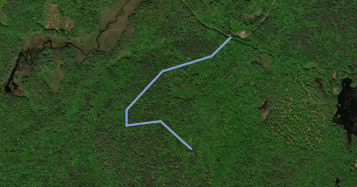 Маршрут Saddleback Mountain Loop Trail на спутниковом снимке