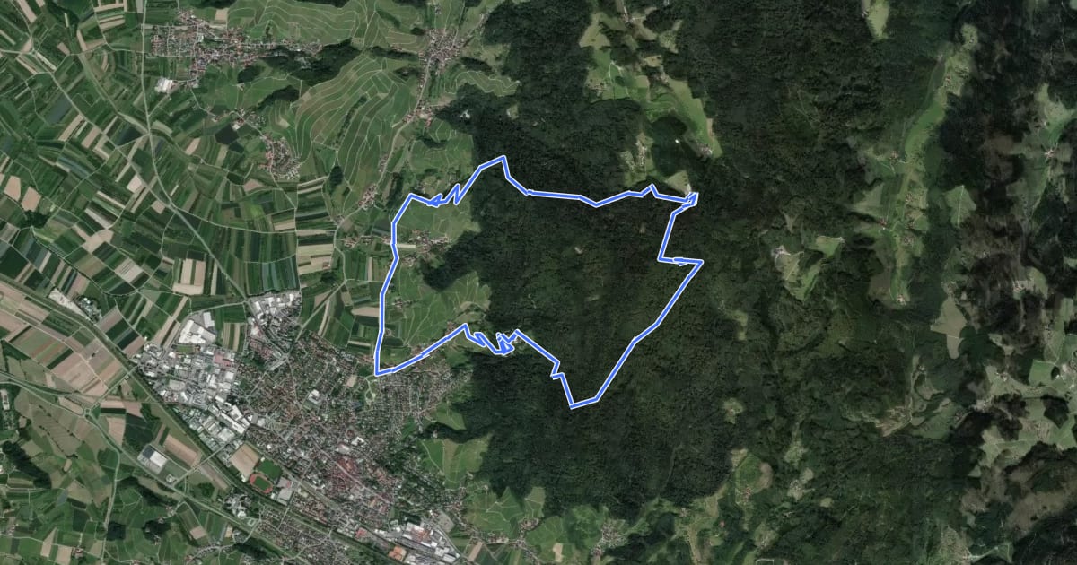 Маршрут Sagenrundweg Oberkirch на спутниковом снимке
