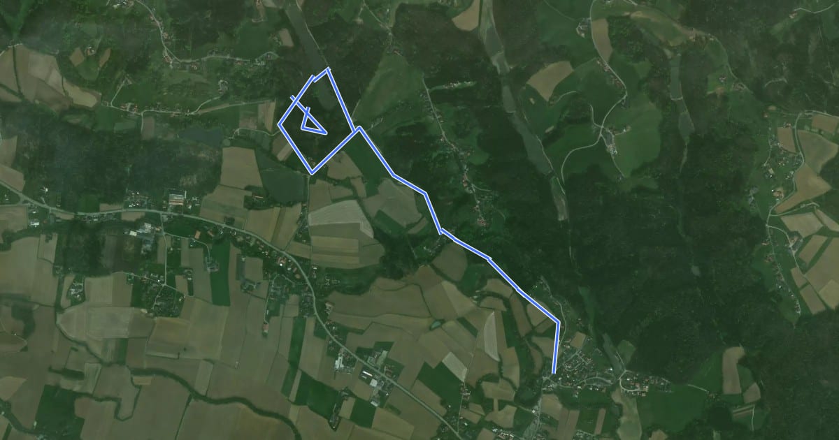 Маршрут Sagenweg St. Martin на спутниковом снимке