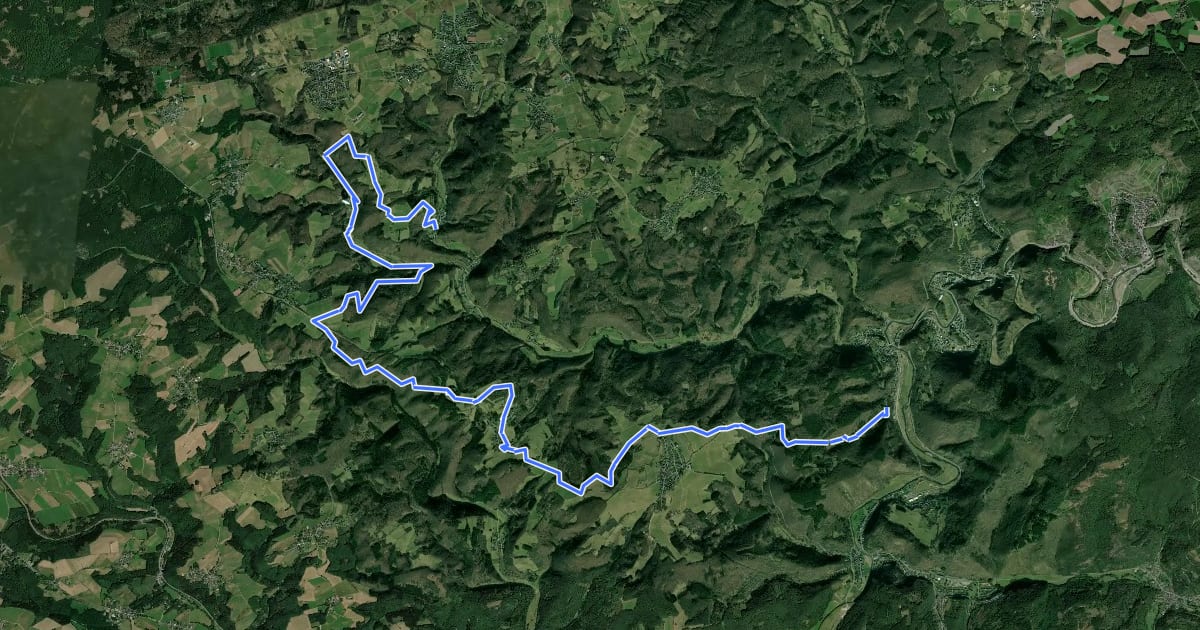 Маршрут Sahrbacher Höhenweg на спутниковом снимке