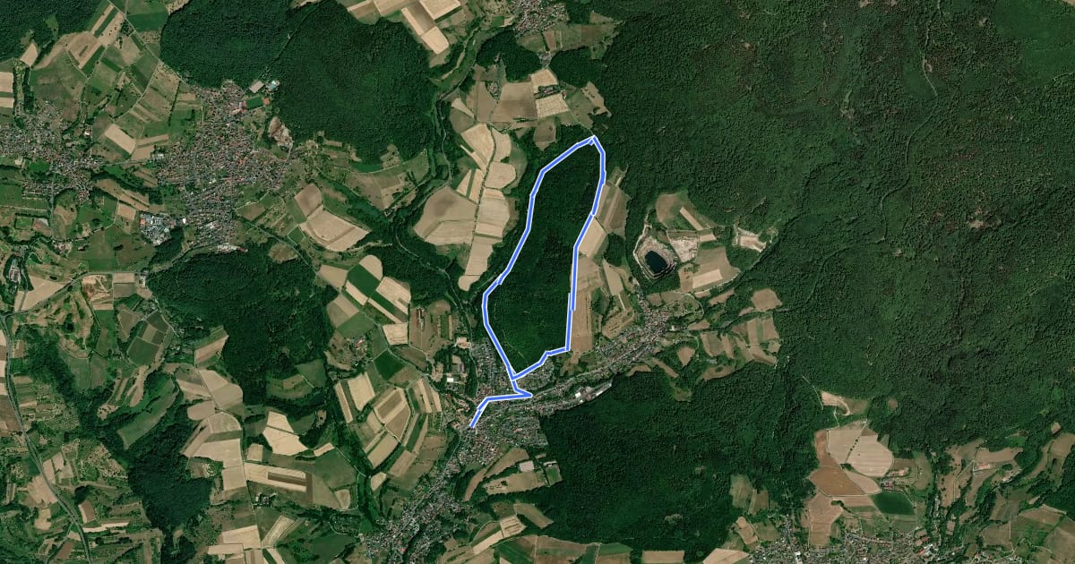 Маршрут Sailauf Rundwanderweg 2 на спутниковом снимке