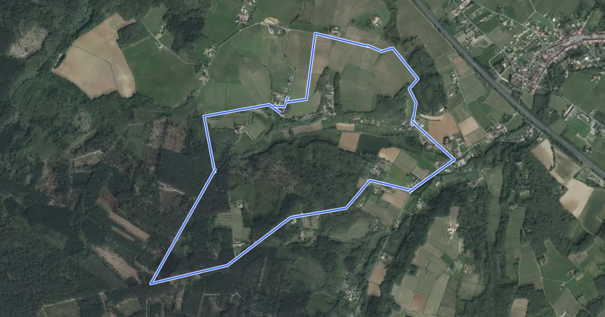 Маршрут Saint-Pierre-de-Buzet, vignes, pins et chênes lièges - 6.5 km на спутниковом снимке