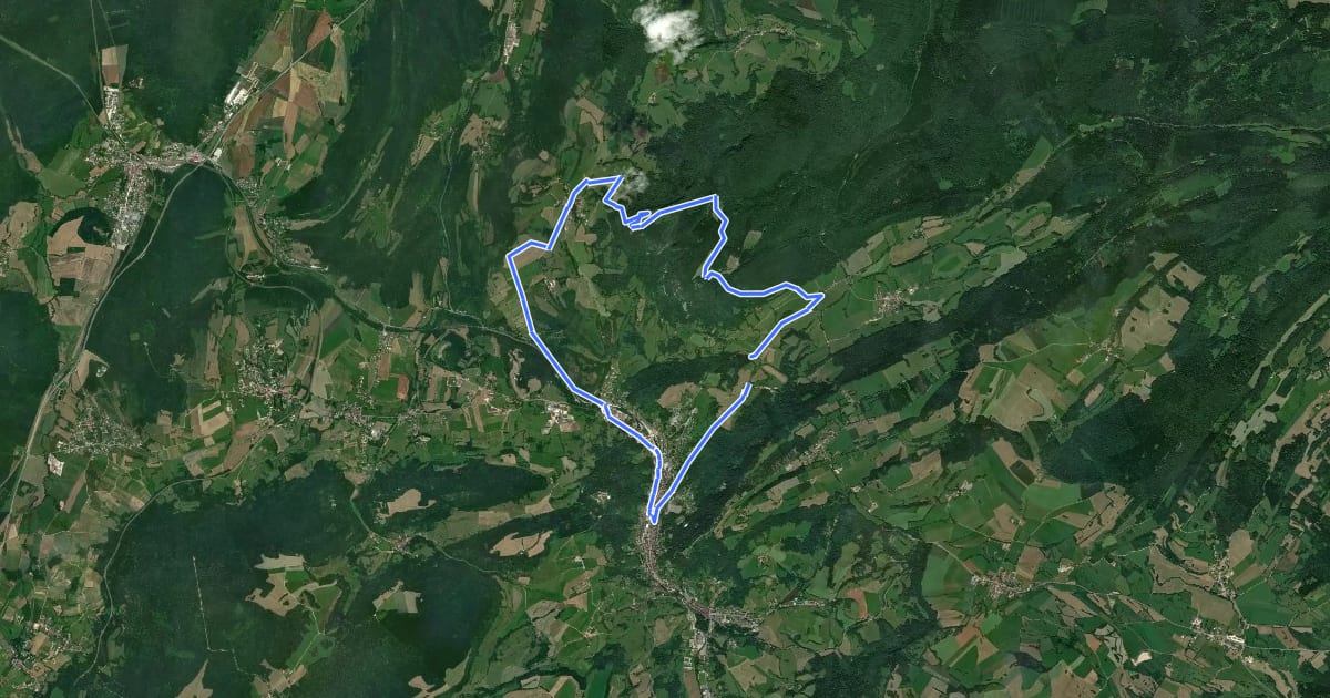 Маршрут Salins les Bains et le Mont Poupet на спутниковом снимке