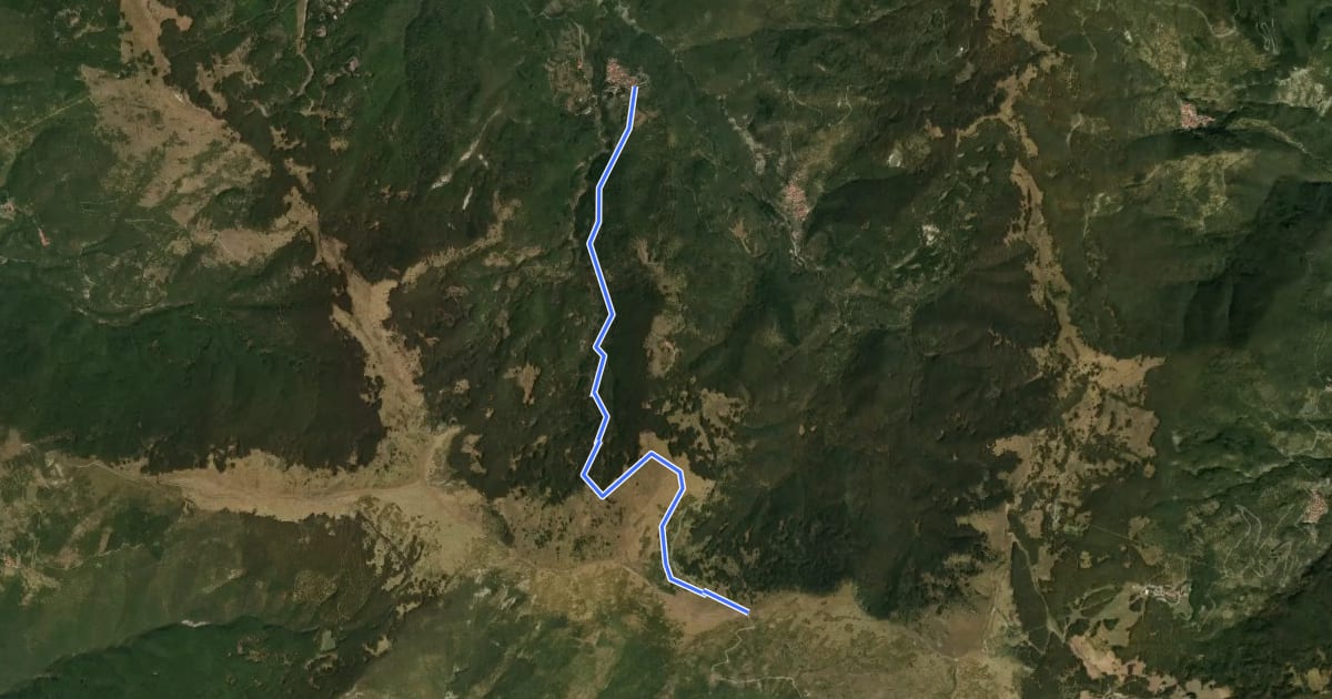 Маршрут Salogni – Monte Chiappo на спутниковом снимке