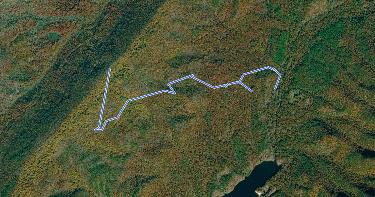 Маршрут Salt Stump Trail на спутниковом снимке
