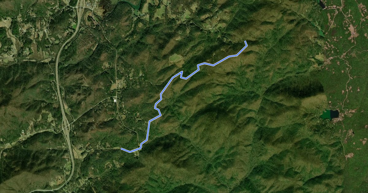 Маршрут Saluda Mountains Passage of the Palmetto Trail на спутниковом снимке