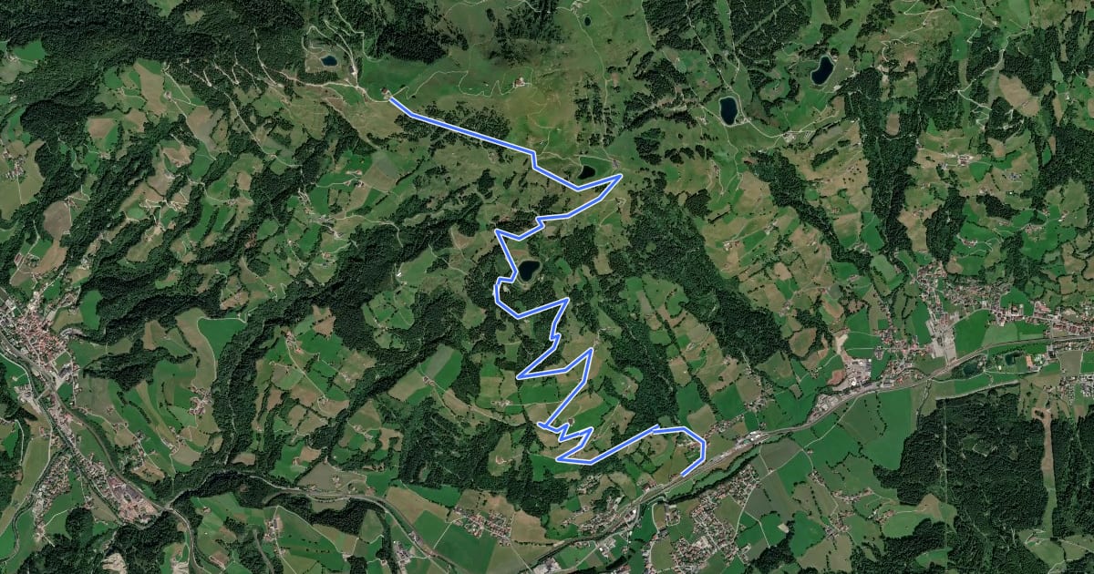 Маршрут Salvenberg-Rigi на спутниковом снимке