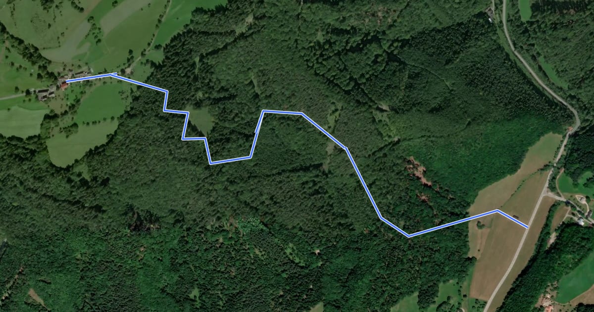 Маршрут Salzabad (L133) - Schwarzwald на спутниковом снимке