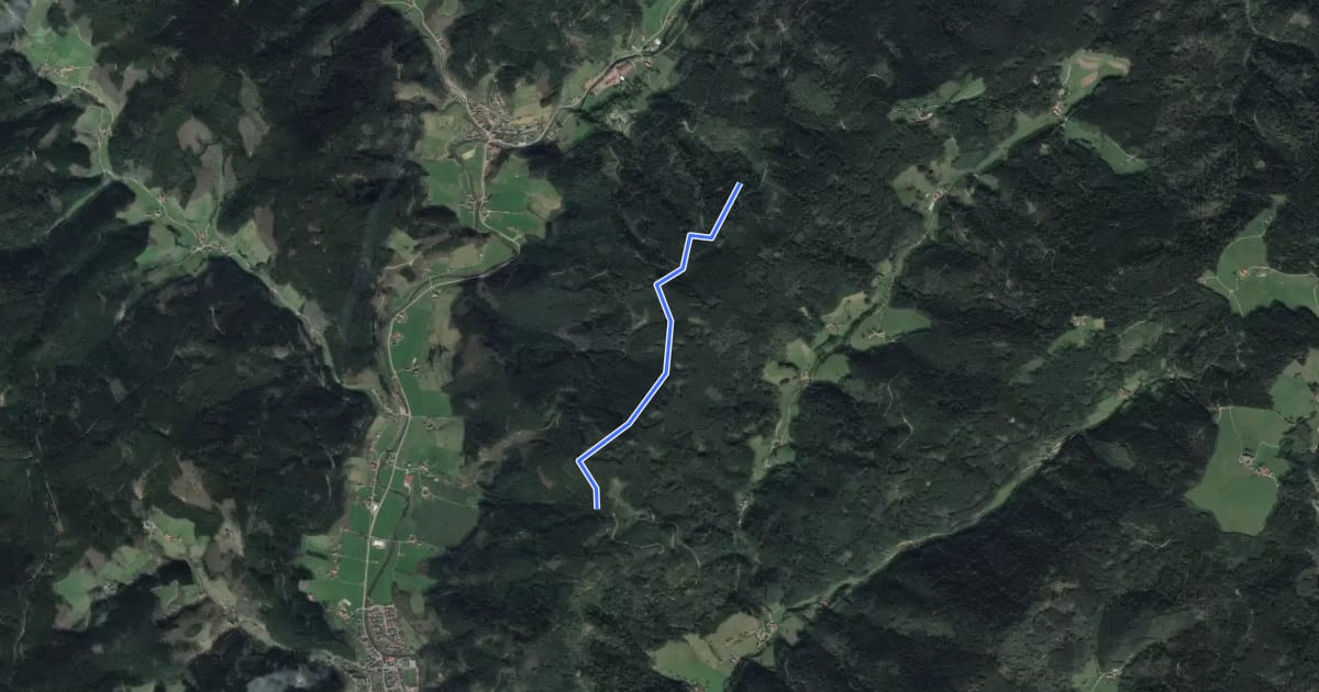 Маршрут Salzbühl - Schrannensattel на спутниковом снимке