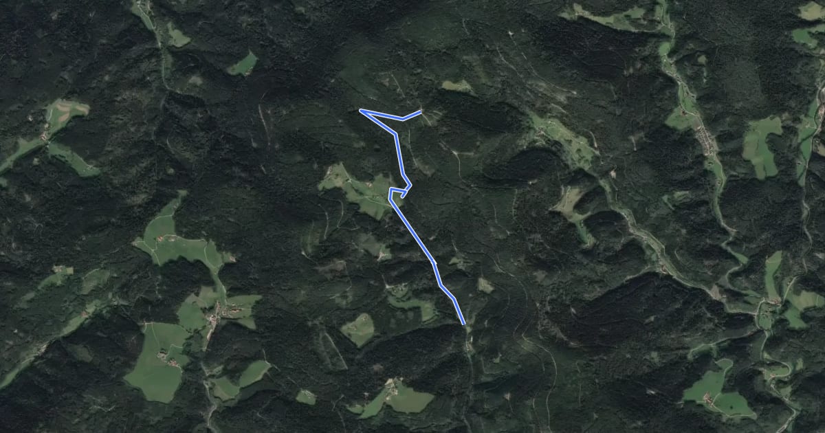 Маршрут Salzlecke - Heubach Auerhahn на спутниковом снимке
