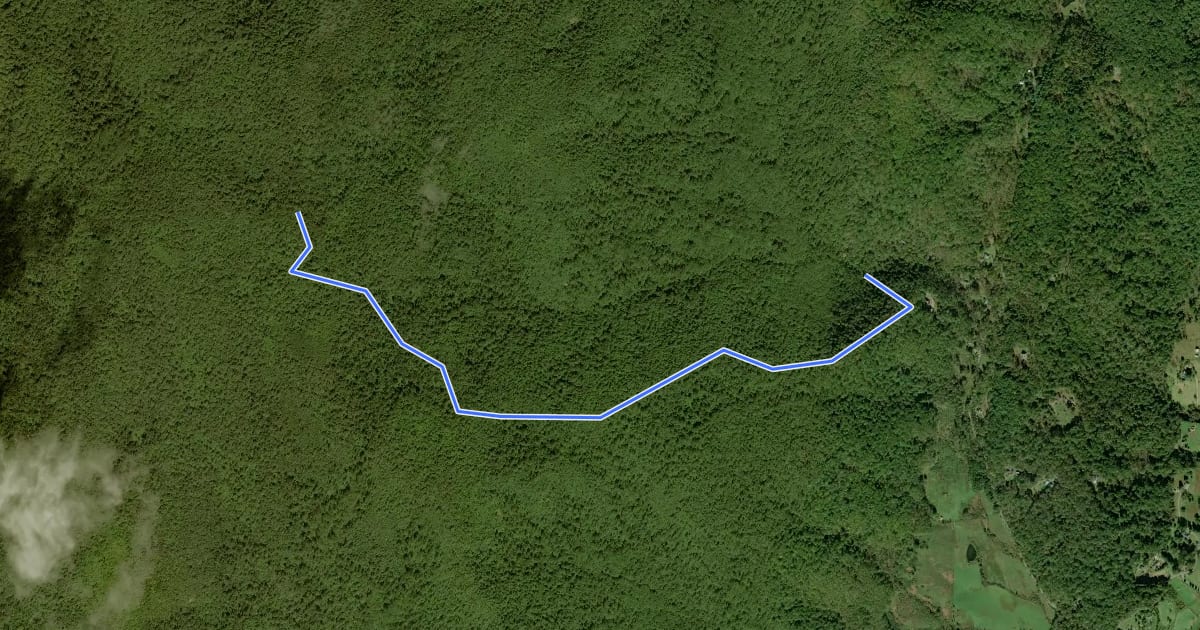 Маршрут Sams Ridge Trail на спутниковом снимке