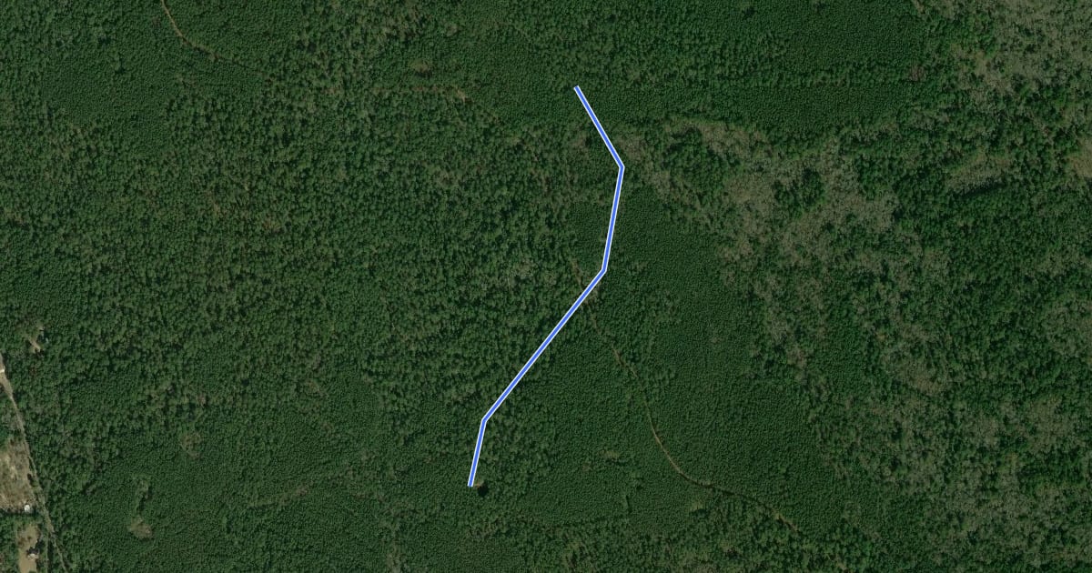 Маршрут Sand Branch Trail на спутниковом снимке