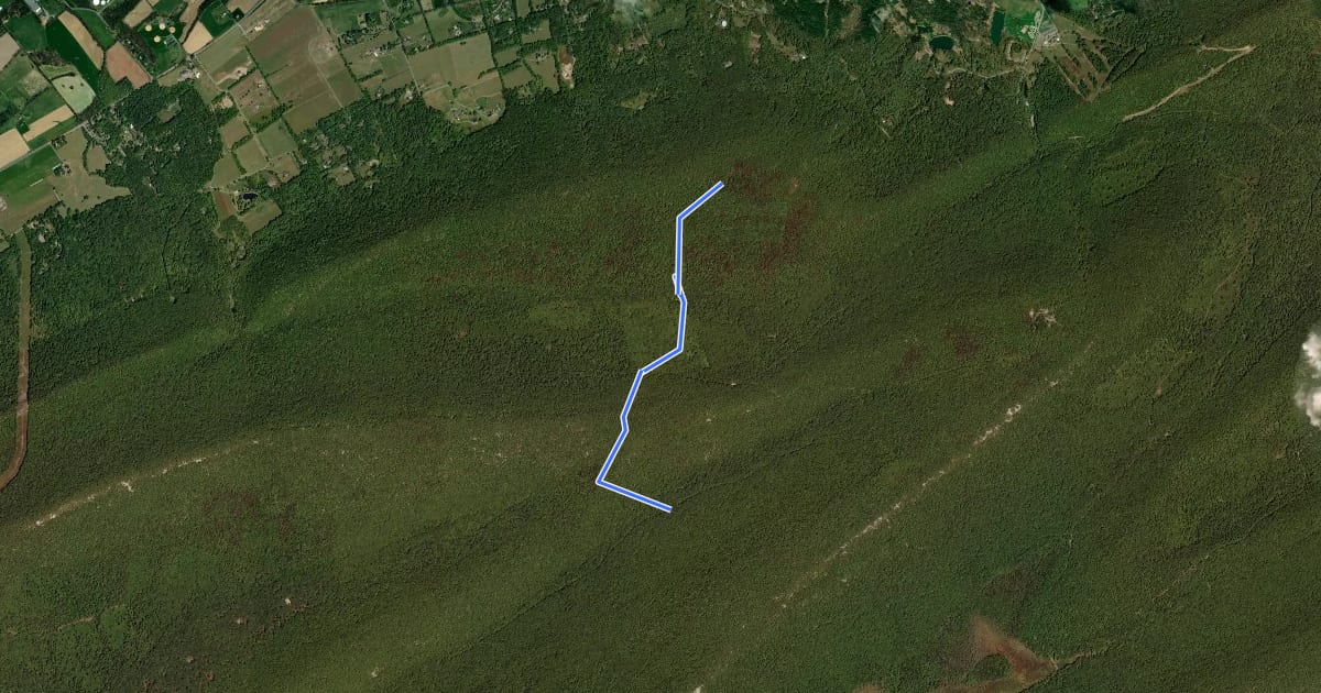 Маршрут Sand Spring Trail на спутниковом снимке