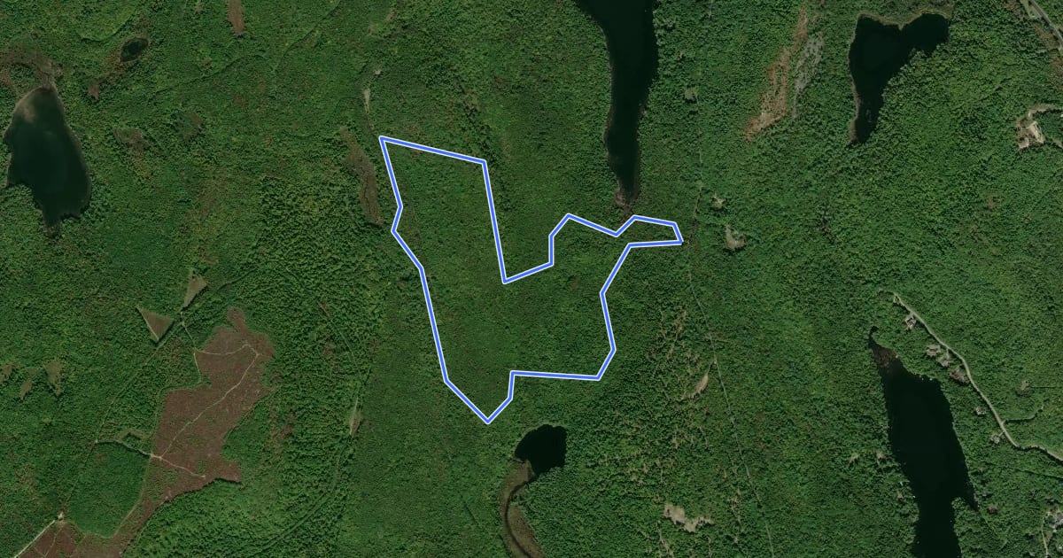 Маршрут Sanders Hill Trail на спутниковом снимке