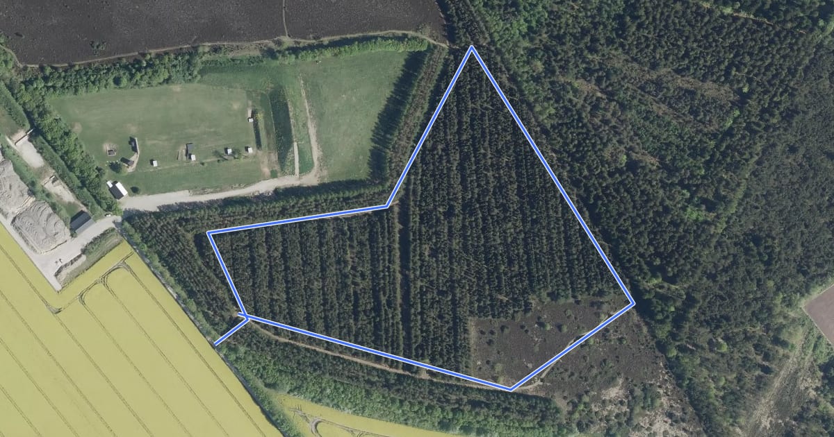 Маршрут Sandfeldgård Plantage на спутниковом снимке