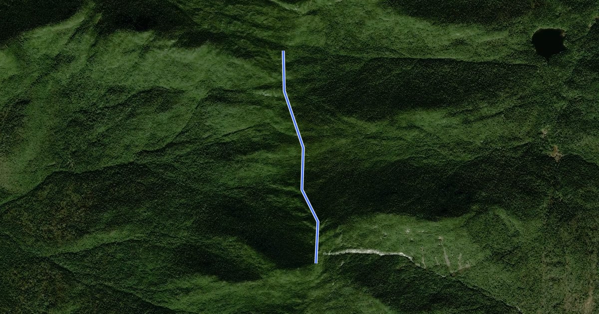Маршрут Santanoni Trail на спутниковом снимке