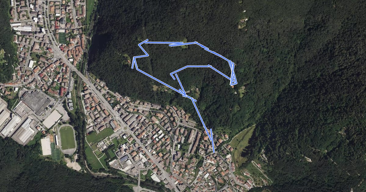 Маршрут Sarezzo (Irle) - Stalla delle Secade - Sarezzo (Irle) на спутниковом снимке