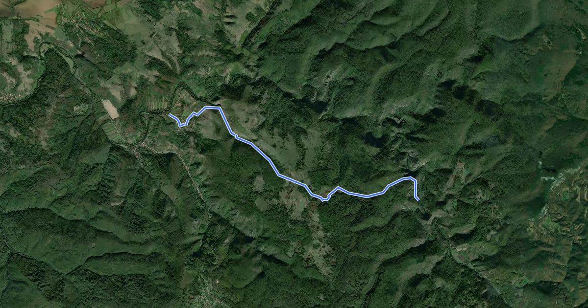 Маршрут Sasca Română - Valea Camenița - Livezile Cărbunarilor - Poiana Vogiun (Cheile Nerei) на спутниковом снимке
