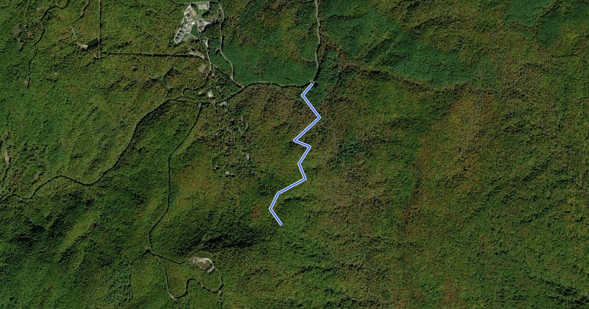 Маршрут Sassafras Mountain Trail на спутниковом снимке