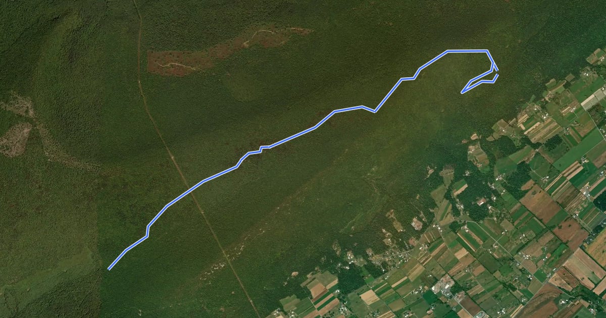 Маршрут Sassafras Trail на спутниковом снимке