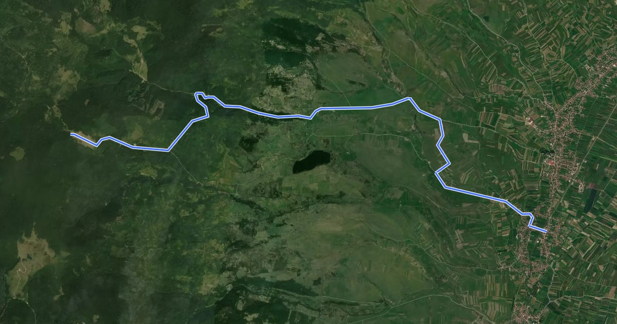 Маршрут sat Dănești - Poiana Mădicea - Refugiul Montan Lacul Dracului на спутниковом снимке
