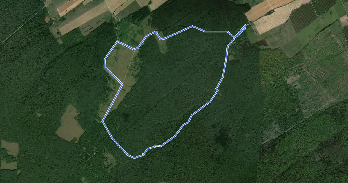 Маршрут Saugrabenweg на спутниковом снимке
