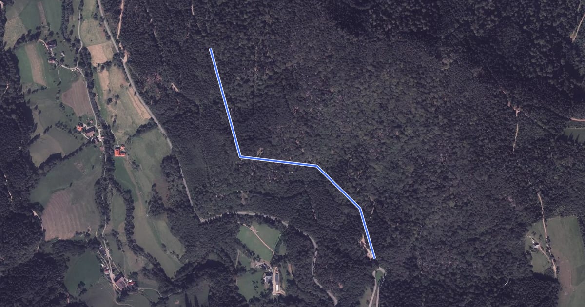 Маршрут Saulache - Wanderparkplatz Herrengarten на спутниковом снимке
