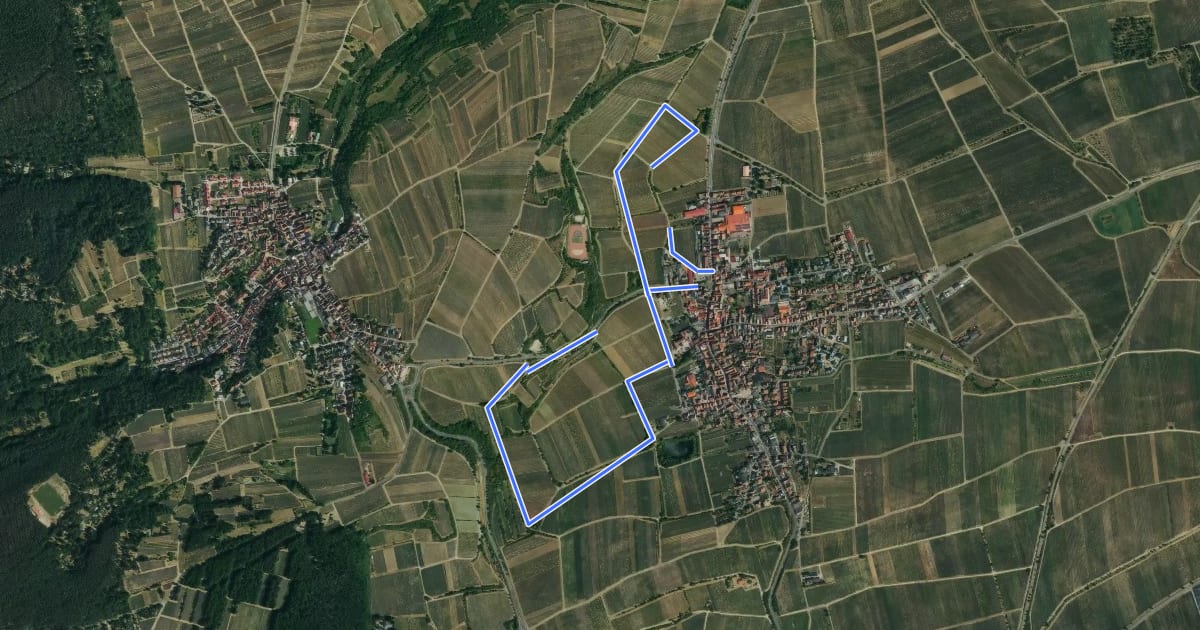 Маршрут Saumagenweg на спутниковом снимке