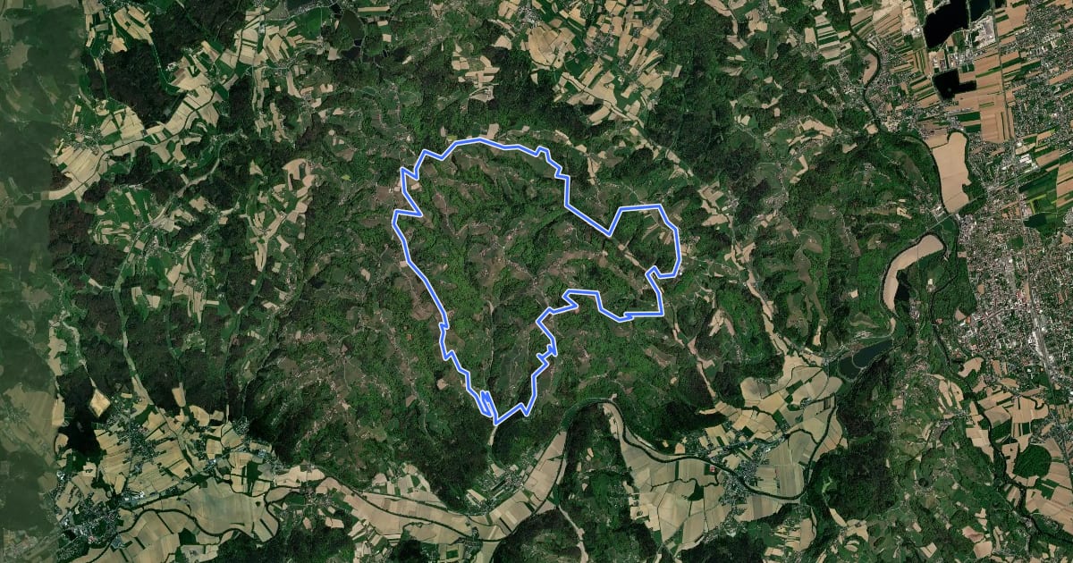 Маршрут Sausaler Rundwanderweg на спутниковом снимке