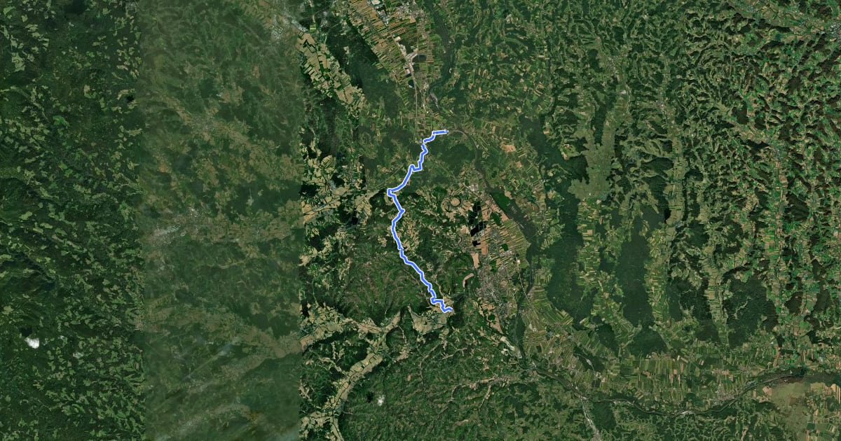 Маршрут Sausalerradweg на спутниковом снимке