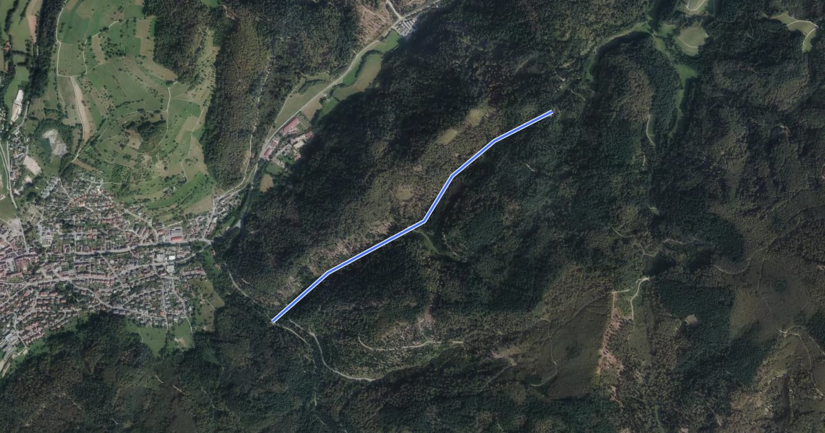 Маршрут Sauweg - Luisenhütte на спутниковом снимке