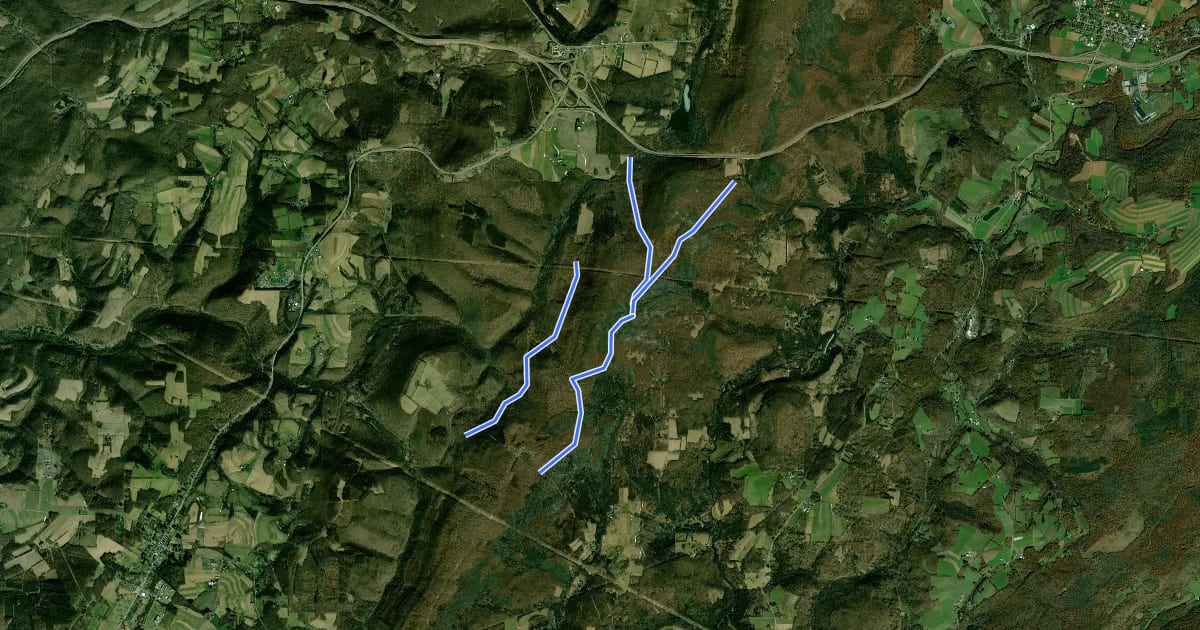 Маршрут Savage River - Bowman Hill на спутниковом снимке